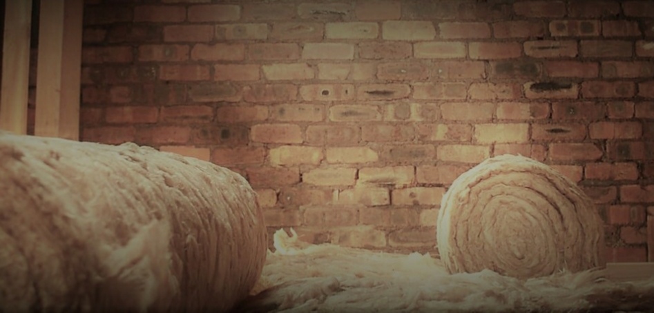 pestbgone loft insulation