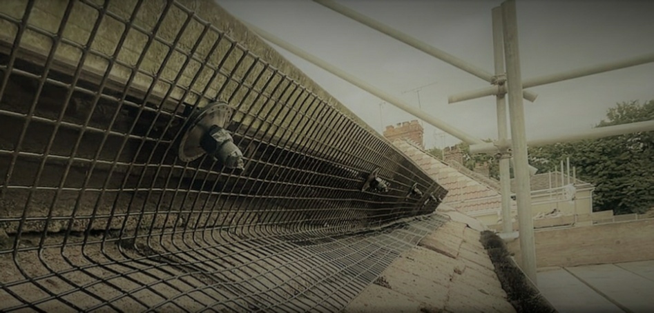 pestbgone wasp nest control